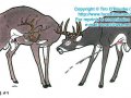 tor-120i-dirty-deer-9.jpg